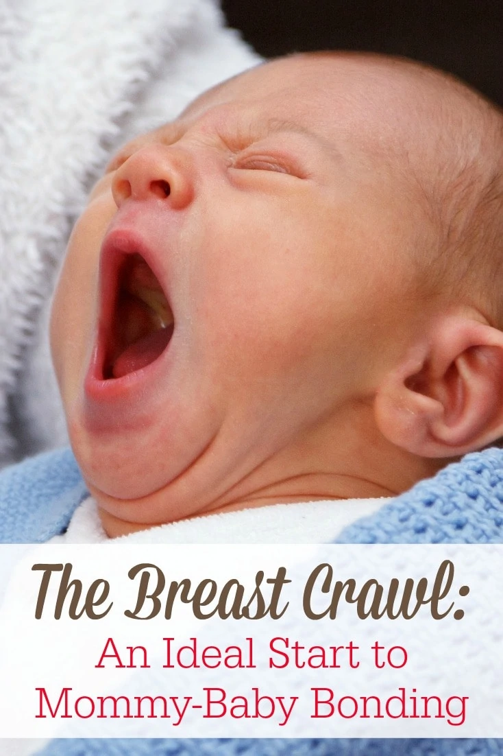 The breast crawl is a little-known secret that promotes bonding between newborns and their mommies, and can pave the way for a great breastfeeding relationship! 