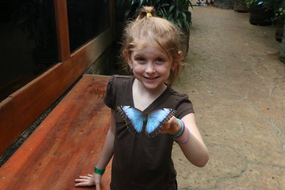Costa Rica butterfly garden
