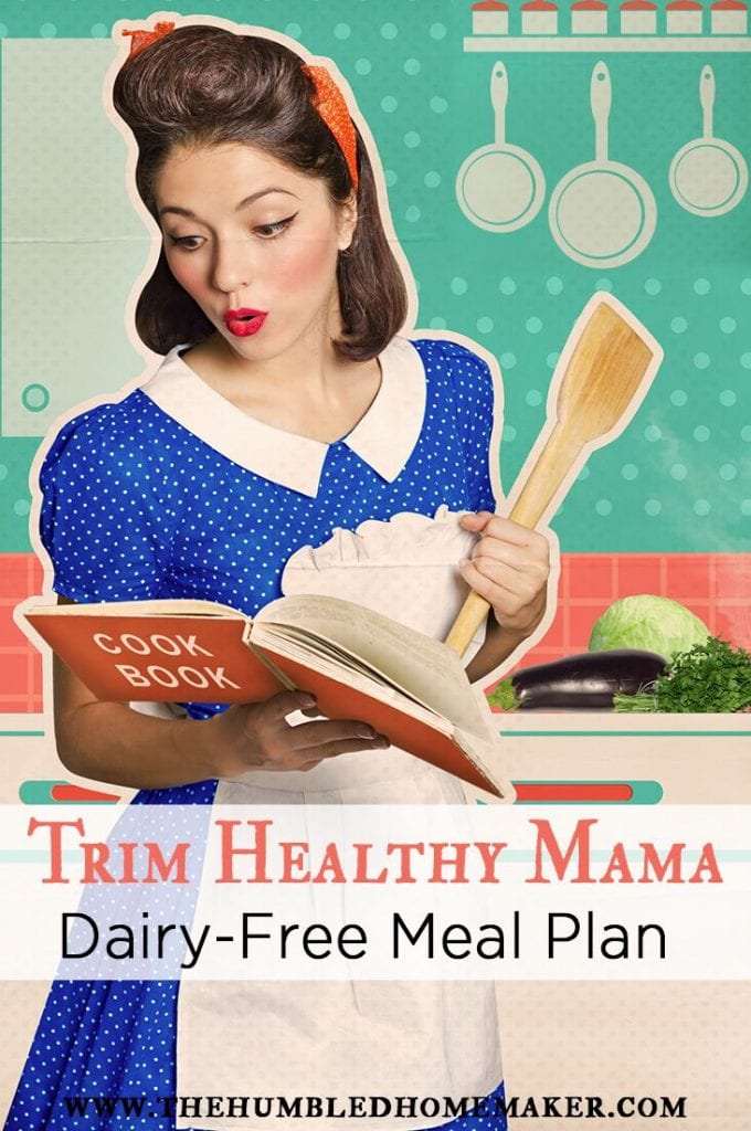 Dairy Free Trim Healthy Mama meal plan