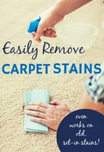 hands removing carpet stains even old, set-in stains