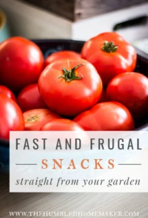 You may have all you need for a great, healthy summer snack sitting right in your backyard! Check out these fast and frugal snacks from your garden!