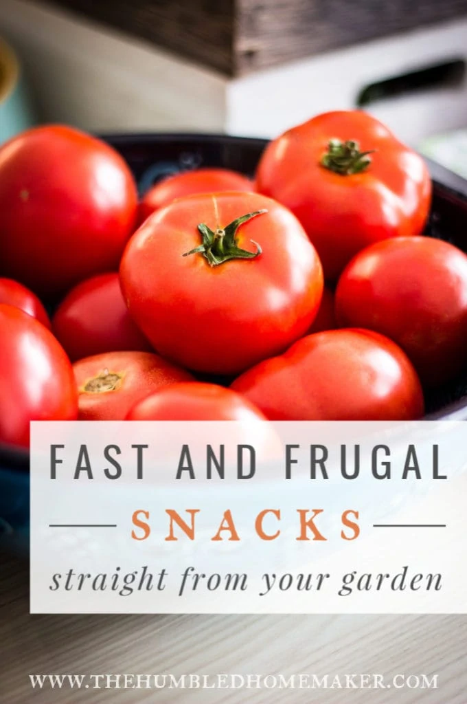 You may have all you need for a great, healthy summer snack sitting right in your backyard! Check out these fast and frugal snacks from your garden!
