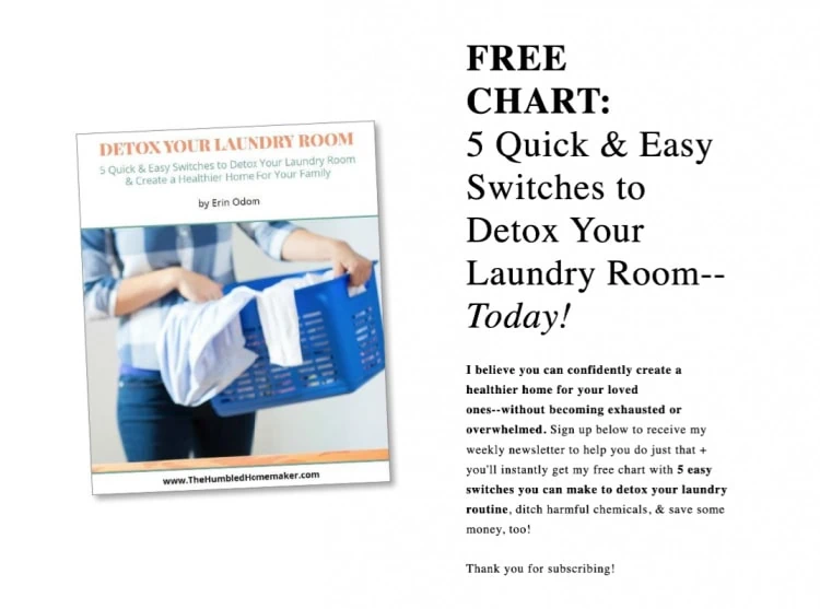 Free Chart: Detox Your Laundry Room
