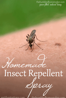 Mosquitoes and ticks can really put a damper on time outdoors. This homemade insect repellent spray helps keep them away with the power of essential oils.