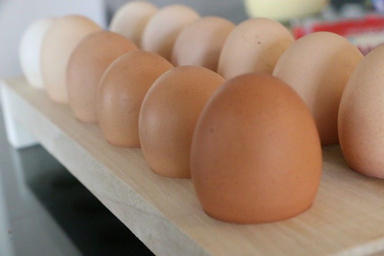 Horizon Organic Eggs