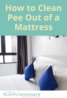How to Get Pee Out of Mattress? EASY Tips - Sleep Checklist