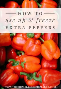 Peppers are full of health benefits, and they're extremely versatile for recipes. Here's how to freeze an abundance of peppers from your garden or the grocery store, plus a list of delicious recipes that use peppers.