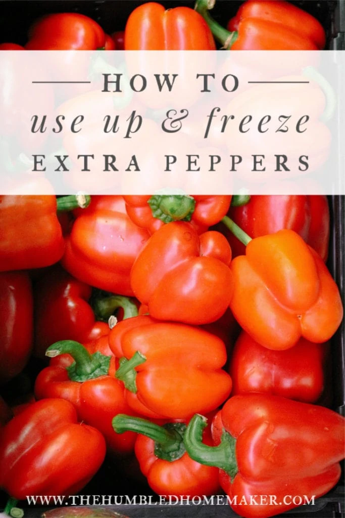 Peppers are full of health benefits, and they're extremely versatile for recipes. Here's how to freeze an abundance of peppers from your garden or the grocery store, plus a list of delicious recipes that use peppers.