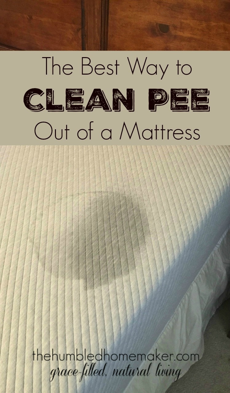 How To Clean Pee Out Of A Mattress The Humbled Homemaker