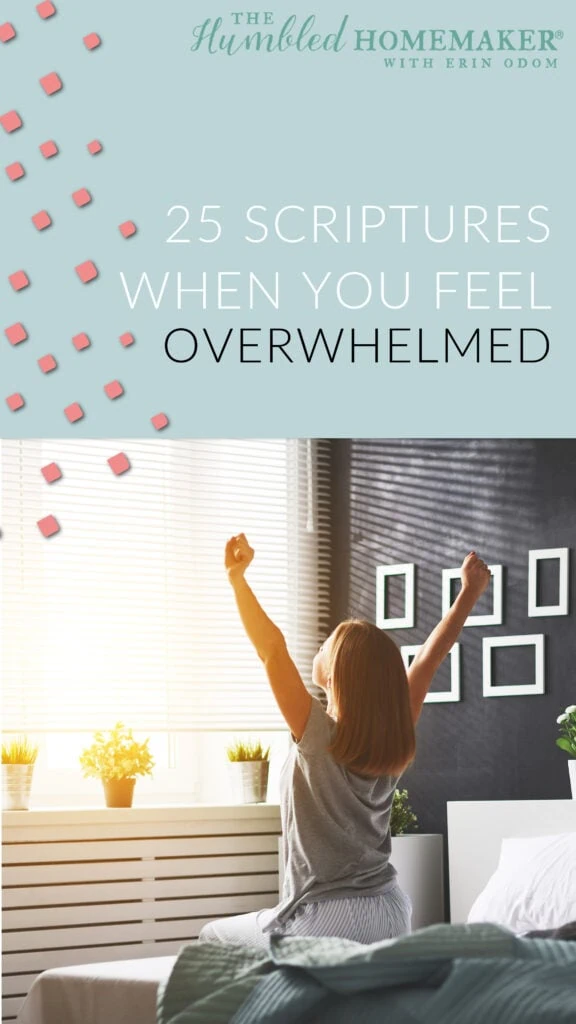 Scriptures When You Feel Overwhelmed