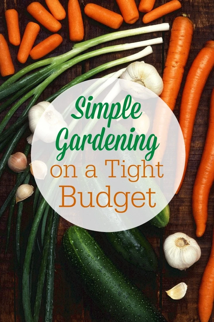 Try these tips for simple gardening on a tight budget to help you save money on groceries and still feed your family fresh, healthy vegetables!
