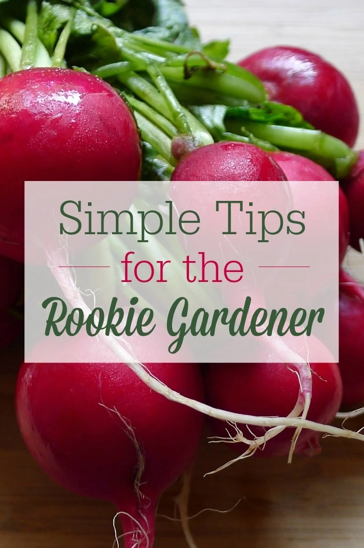 Wish you could start a garden? You can! Here are 5 things every rookie gardener needs to know!