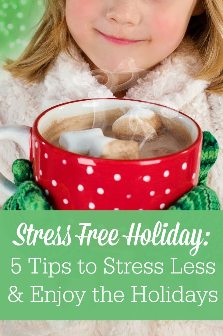 Are you looking for stress free holiday tips? You can stress less and enjoy the holidays more this year! 