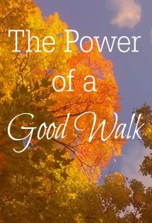 A good walk can infuse more energy into you than you ever imagined--and improve your mood! A good walk can do so much for you!