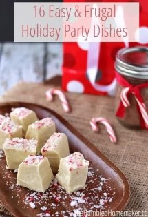 Striking a balance between a frugal budget and a month full of holiday parties is not an easy task. In order to help us all make it through this holiday season - and all the holiday parties - without going broke, I've come up with a list of 16 easy and frugal holiday party dishes.