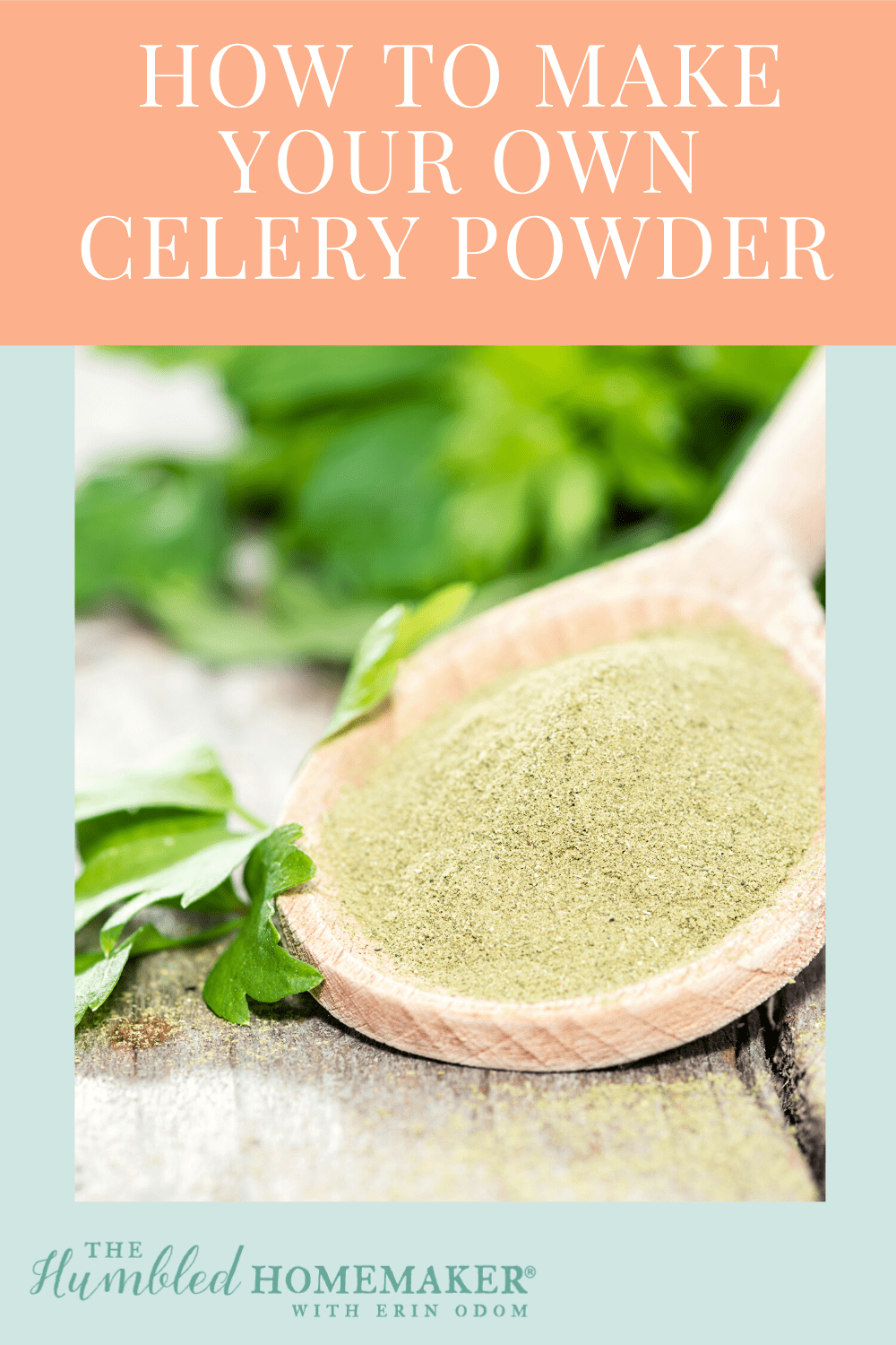 If you love homemade seasonings and spice mixes, add celery powder to the list! This simple tutorial will show you how to make your own DIY celery powder.