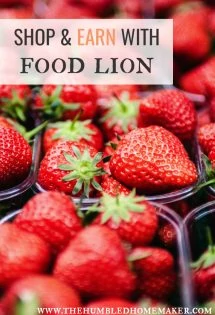 Shop & Earn with Food Lion