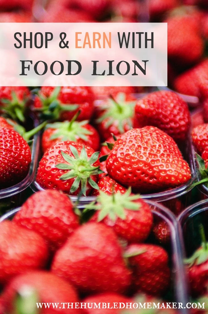 Shop & Earn with Food Lion 