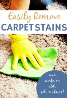 hands removing carpet stains even old, set-in stains