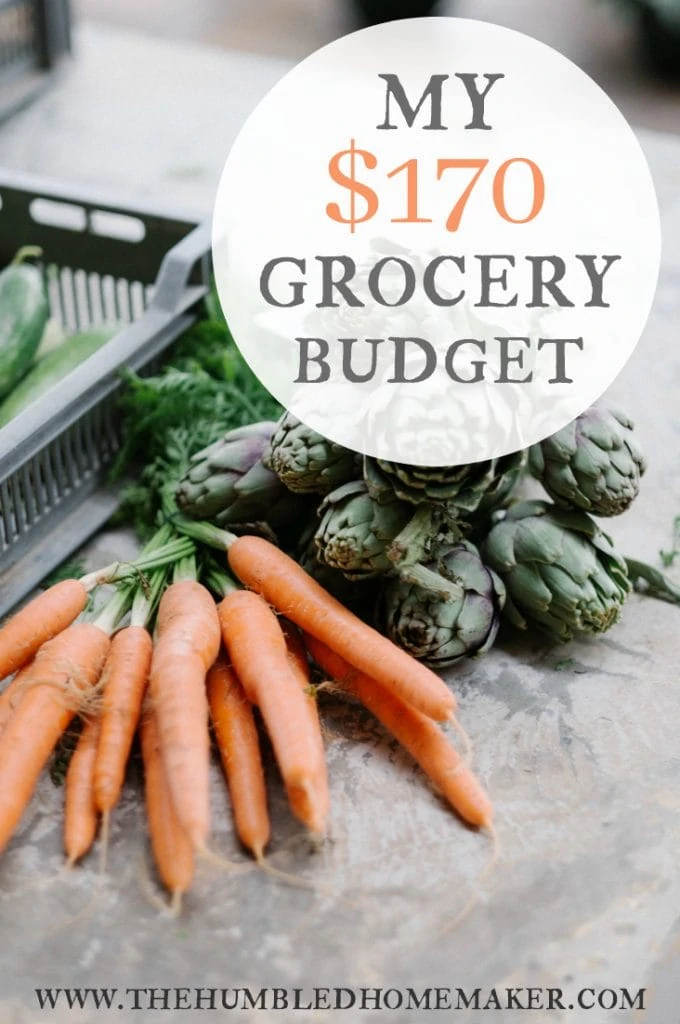 1 family of 4 spent just $170 for a month of groceries! Here's how they made it work, along with a sample menu plan! Cutting back on grocery spending helped them pay off student loans...