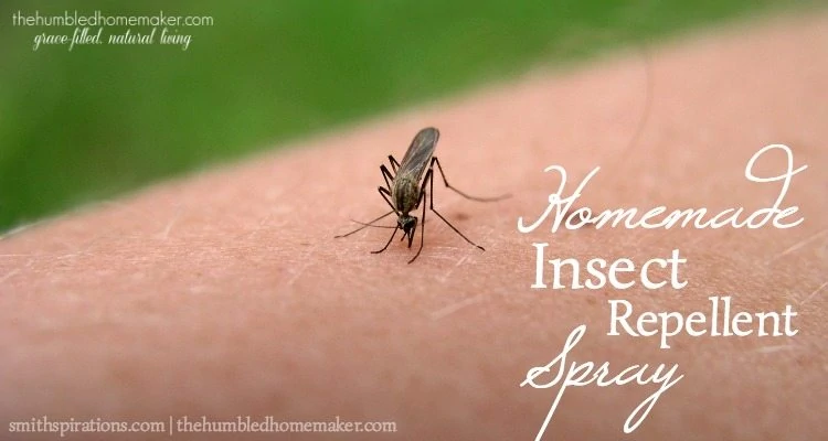 Mosquitoes and ticks can really put a damper on time outdoors. This homemade insect repellent spray helps keep them away with the power of essential oils.
