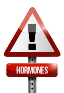 Exclamation mark on a triangular warning sign above a signpost labeled 'hormones'.