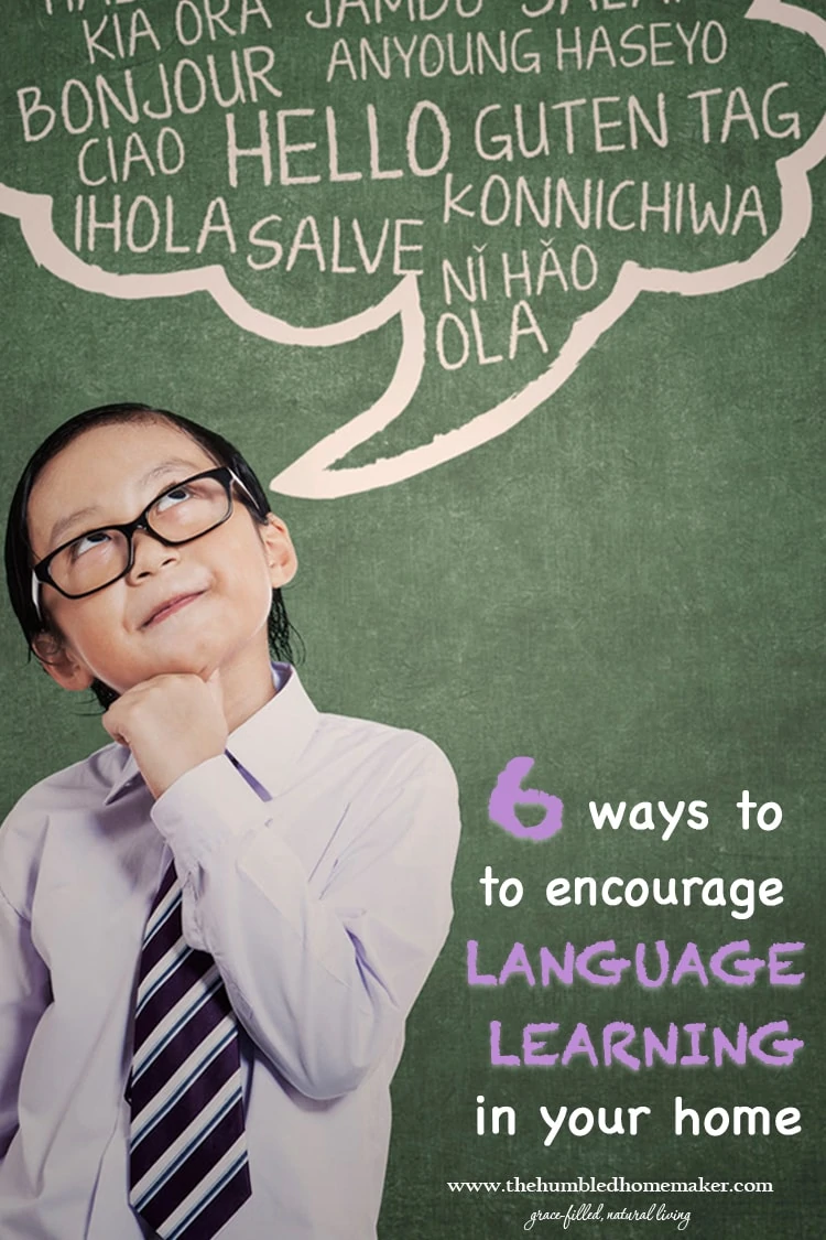Whether you homeschool and are looking to add language learning to your school day or are interested in augmenting the language learning your children are already experiencing in their schools, I hope you will appreciate these 6 ways to encourage language learning in your home! 