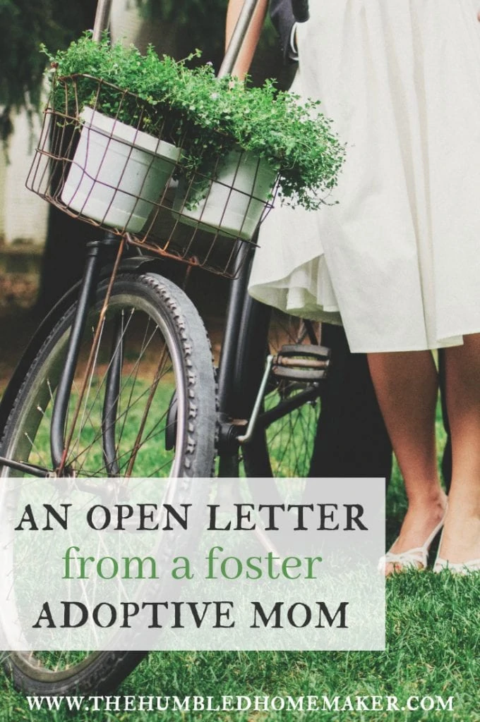 Wow, what an amazing bit of insight into the life of an adoptive/foster mother! A must read for everyone!