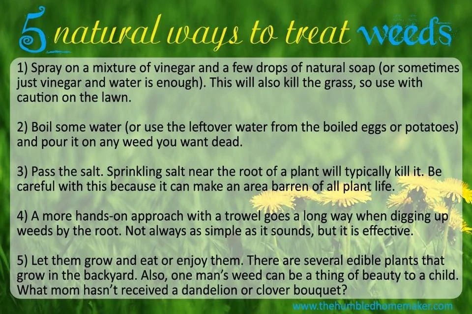 natural ways to treat weeds