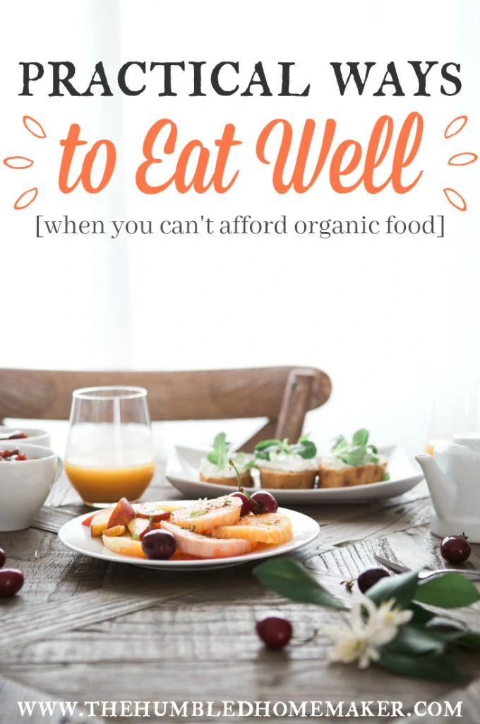 I remember feeling bad because we couldn't afford organic food, and I wanted to feed my children healthy food. Guess what?! I learned that you CAN feed your family well on a tight budget—organic or not!