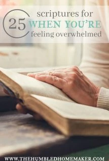 25 Scriptures for When You’re Feeling Overwhelmed